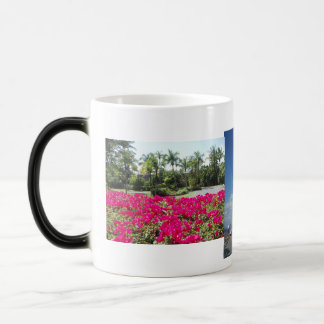 Mug Magic Baie de Caneel, St John, USVI