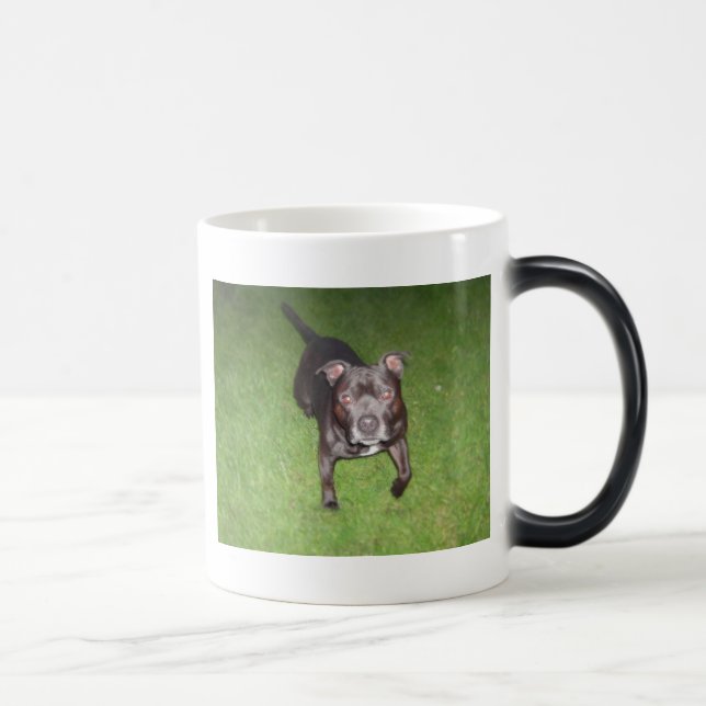 Mug Magic Beau bull-terrier (Droite)