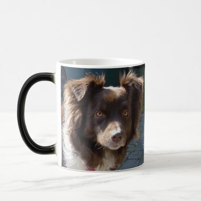 Mug Magic berger américain miniature tricolore rouge (Gauche)