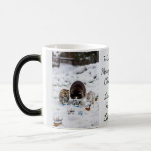 Mug Magic Boule à neige de chat, Noms d'image Texte, Personn