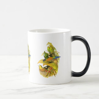 Mug Magic Broadbill Long-coupé la queue