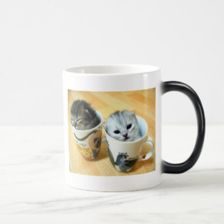 Mug Magic Ce n'est pas café dedans là