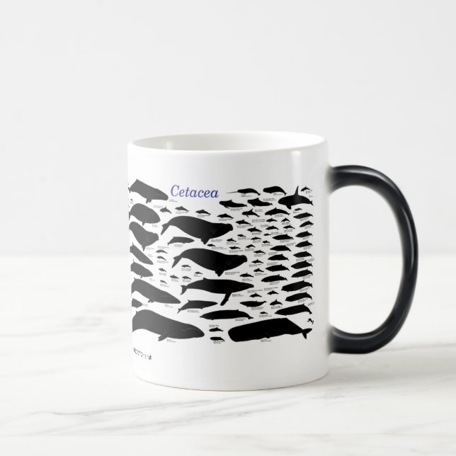 Mug Magic Cetaceans (Droite)