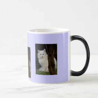 Mug Magic chat de magie blanche