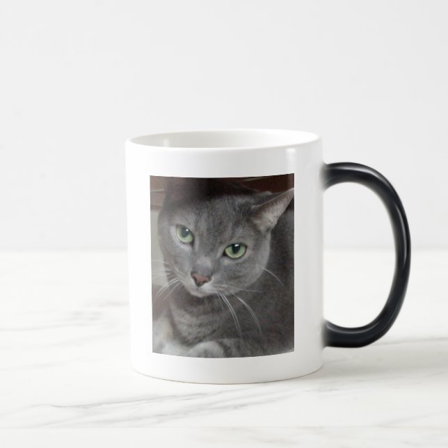 Mug Magic Chat gris bleu russe (Droite)