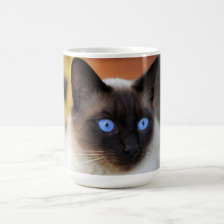 Mug Magic Chat kitty siamois avec de beaux grands yeux bleus