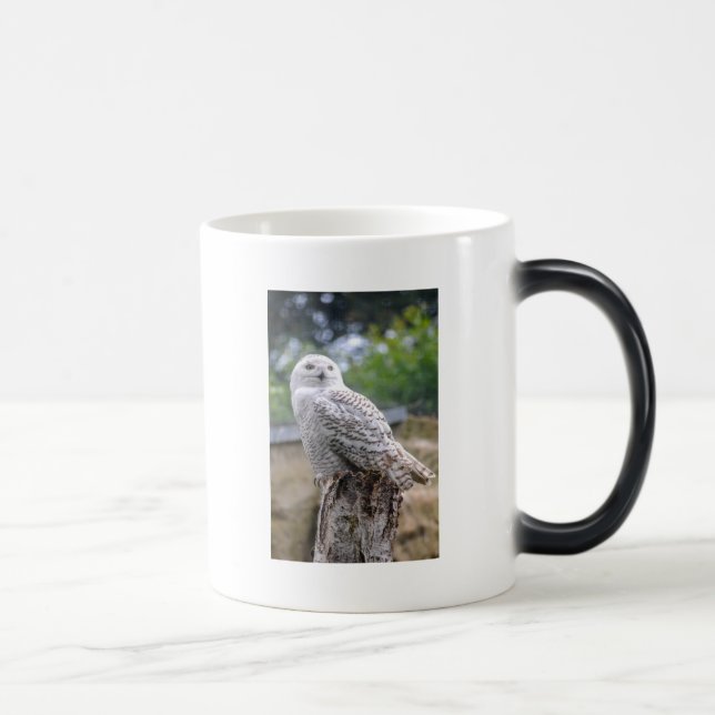 Mug Magic Chouette à neige (Droite)