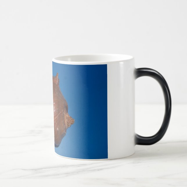 Mug Magic Coquillages (Droite)