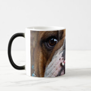 Mug Magic Coussin de jet de Bouledogue Anglais