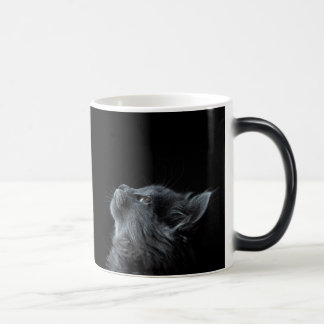 Mug Magic Curieux Kitten Noir