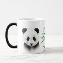 Cute Panda et Bambou