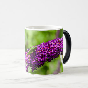 Mug Magic énergie katydone