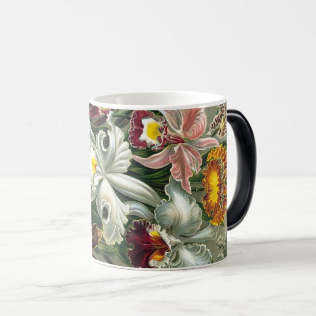 Mug Magic Ernst Haeckel Art Imprimer: Orchidae Oncidiums, tu (Devant droit)