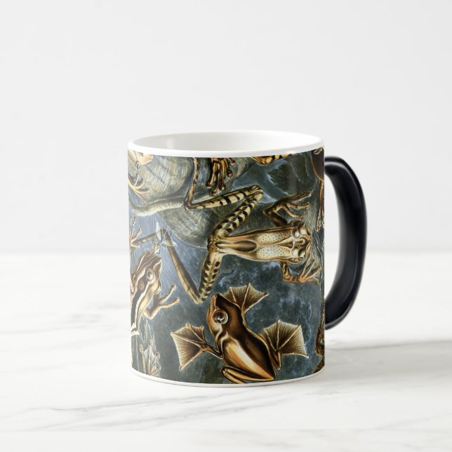 Mug Magic Ernst Haeckel variété de grenouilles exotiques : B (Devant droit)