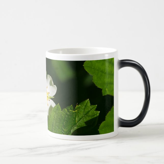 Mug Magic Fleur de fraises sauvages (Droite)