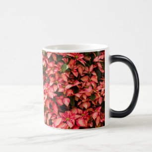 Mug Magic Fleur de Noël "Poinsettia"