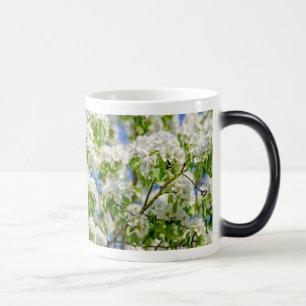 Mug Magic Fleur de pomme de crabe