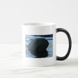 Mug Magic Irrawaddy Dolphin Cache-Cache