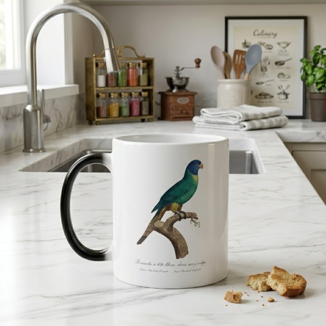 Mug Magic Jeune loriquet arc-en-ciel Trichoglossus moluccanu (Perruche a tete bleue / Rainbow lorikeet, juvenile. Color Morph Mug)