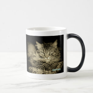 Mug Magic La GESTION de COLÈRE A ÉCHOUÉ l'ange grincheux