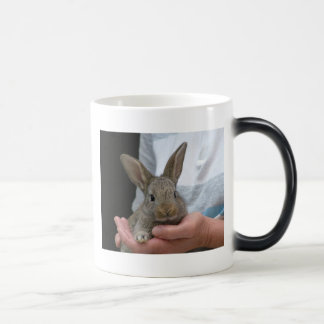 Mug Magic lapin