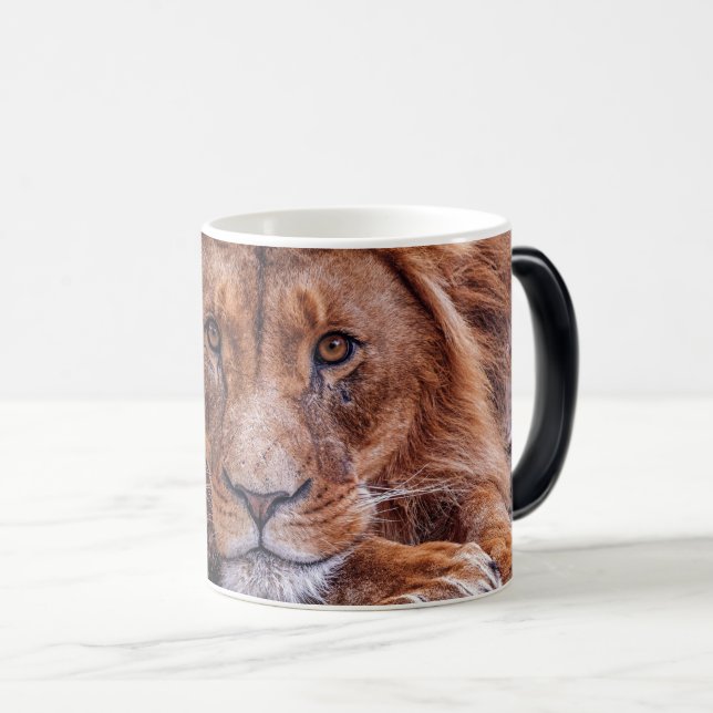 Mug Magic Lion africain (Devant droit)