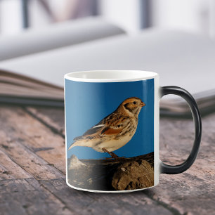 Mug Magic Longspur de la Laponie sur un journal éclairé