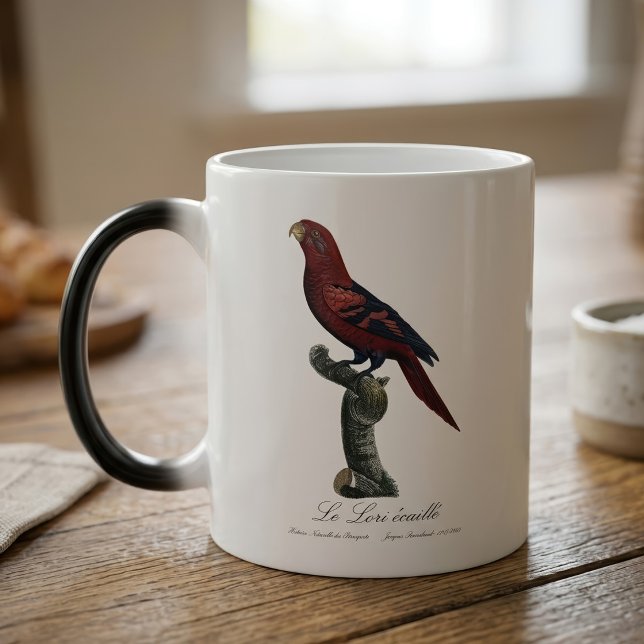 Mug Magic Lori réticulé, Trichoglossus reticulatus (Blue-Streaked Lory, Trichoglossus reticulatus. Color Morph Mug)