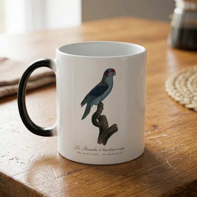 Mug Magic Loriquet à tête bleue, Trichoglossus concinnus (Musk Lorikeet, Trichoglossus Concinnus. Color Morph Mug)