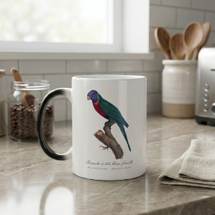 Mug Magic Loriquet arc-en-ciel femelle, Trichoglossus molucc