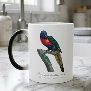 Mug Magic Loriquet arc-en-ciel mâle, Trichoglossus Moluccanu