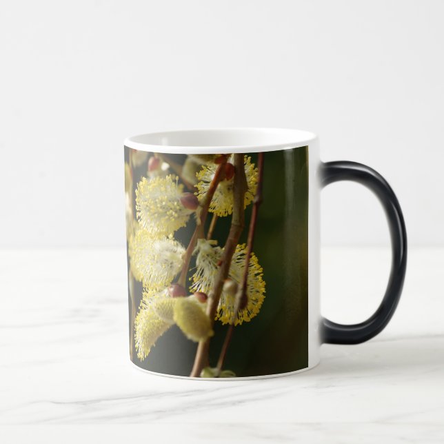 Mug Magic Musique de printemps (Droite)