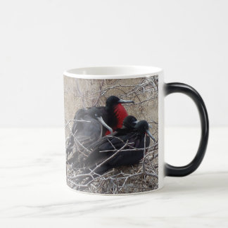Mug Magic Oiseaux de frégate de Galapagos