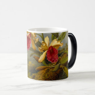 Mug Magic Orchidées et colibri Heade