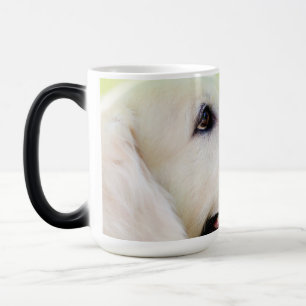 Mug Magic Oreiller À Lancer Du Labrador Et Du Papillon