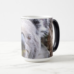 Mug Magic Ours de Koala