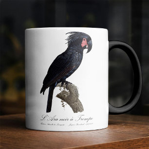 Mug Magic Palmisano à tête noire, perroquet Probosciger ater