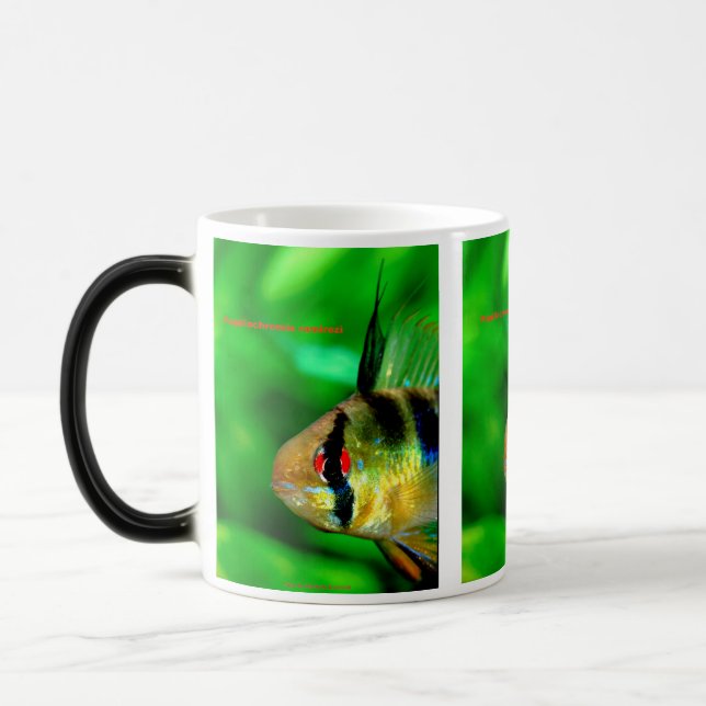 Mug Magic Papiliochromis ramirezi (Gauche)