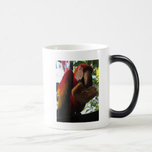 Mug Magic Parrot Macaw Scarlet Manger Toast