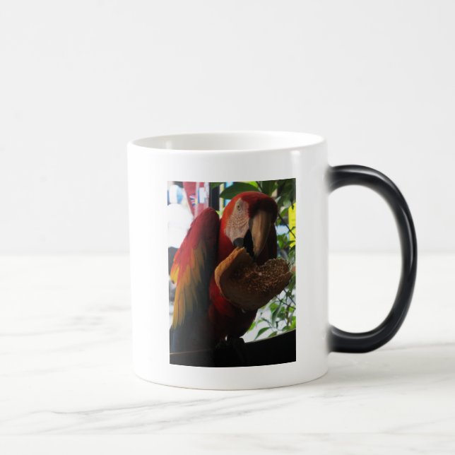 Mug Magic Parrot Macaw Scarlet Manger Toast (Droite)