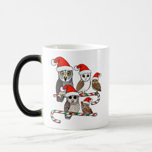 Mug Magic Père Noël Owls