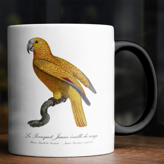 Mug Magic Perroquet de Paradis de Cuba, Psittacus Paradisi (Le Perroquet Jaune ecaille de rouge. Color Morph Mug)