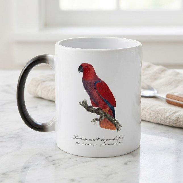 Mug Magic Perroquet éclectus de Vosmaer, Eclectus Roratus Vo (Vosmaer Eclectus Parrot, Eclectus Roratus Vosmaeri. Color Morph Mug)