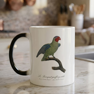 Mug Magic Perroquet geoffroy mâle / Perroquet à joues rouges