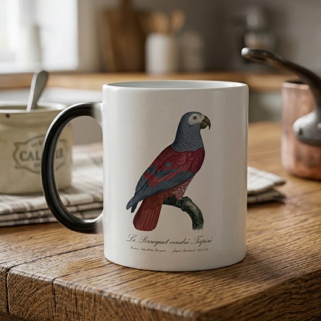 Mug Magic Perroquet Gris du Congo Facteur Rouge Psittacus Er (African Grey Parrot Red Factor Psittacus Erithacus. Color Morph Mug)