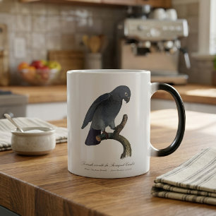 Mug Magic Perroquet gris Timneh, Psittacus Timneh