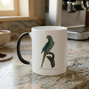 Mug Magic Perruche à front orange, Eupsittula Canicularis