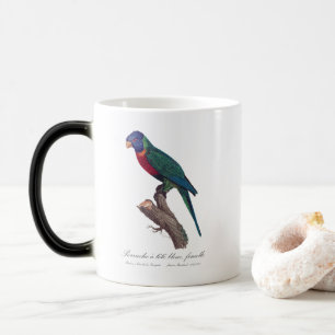 Mug Magic Perruche a tete bleue, femelle / Rainbow lorikeet,