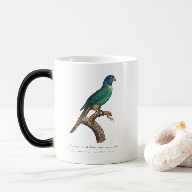 Mug Magic Perruche a tete bleue / Rainbow lorikeet, juvénile (Avec donut)