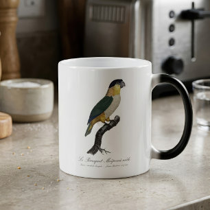 Mug Magic Perruche à tête noire mâle, Pionites melanocephalu